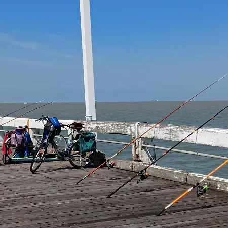 Zeedijk Aan De Pier