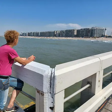 Zeedijk Aan De Pier * 블랑켄베르크