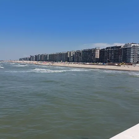 Zeedijk Aan De Pier Blankenberge