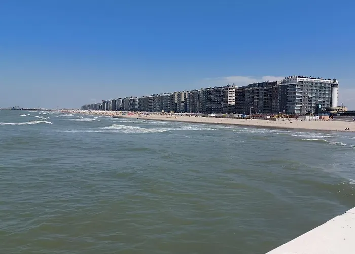 Zeedijk Aan De Pier Blankenberge